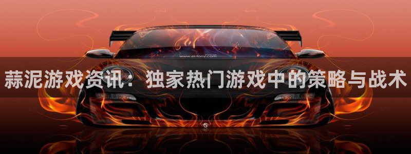 辉达娱乐注册服务条款：蒜泥游戏资讯：独家热门游戏中的策略与战