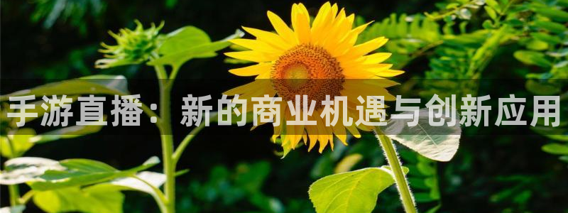 辉达娱乐平台登录线路：手游直播：新的商业机遇与创新应用