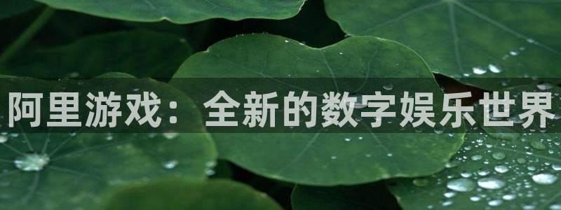 手机辉达娱乐下载安装：阿里游戏：全新的数字娱乐世界