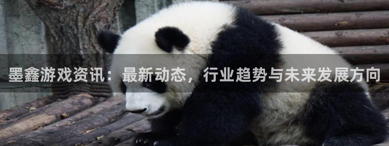 辉达娱乐开户测速：墨鑫游戏资讯：最新动态，行业趋势与未来发展