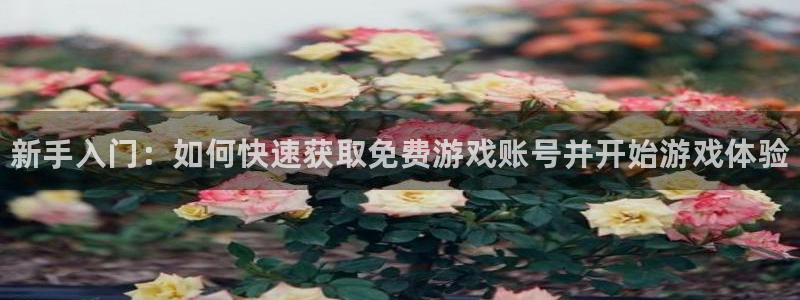 辉达娱乐官网：新手入门：如何快速获取免费游戏账号并开始游戏体
