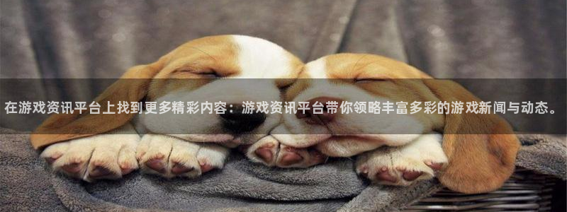 辉达娱乐注册测速：在游戏资讯平台上找到更多精彩内容：游戏资讯