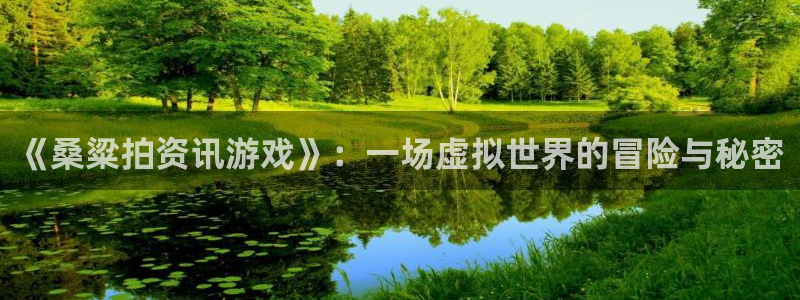 辉达娱乐平台注册：《桑粱拍资讯游戏》：一场虚拟世界的冒险与秘
