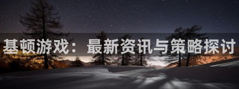 辉达娱乐平台注册资金多少：基顿游戏：最新资讯与策略探讨