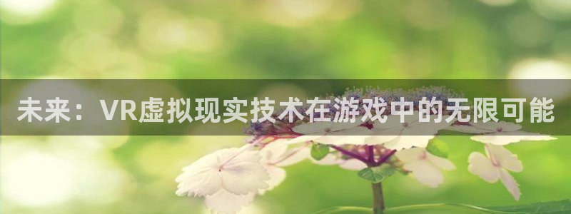 辉达娱乐网页登录入口下载：未来：VR虚拟现实技术在游戏中的无