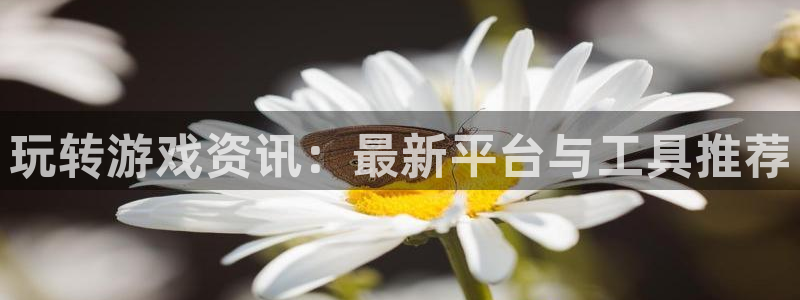 辉达娱乐注册：玩转游戏资讯：最新平台与工具推荐