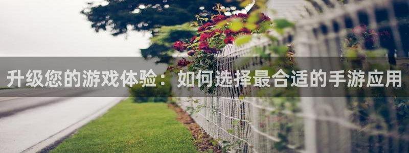 辉达娱乐：升级您的游戏体验：如何选择最合适的手游应用