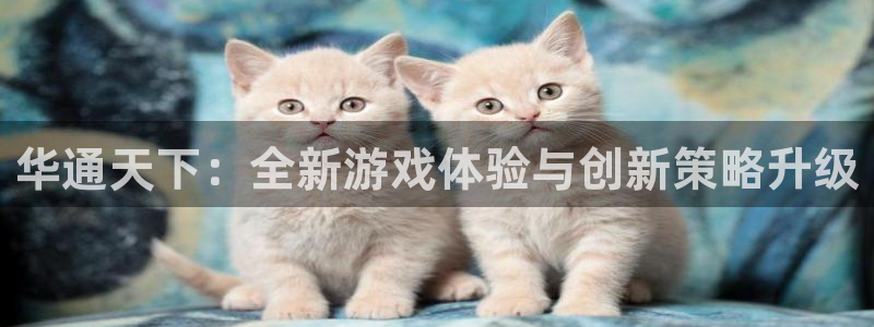 手机版辉达娱乐客户端下载：华通天下：全新游戏体验与创新策略升