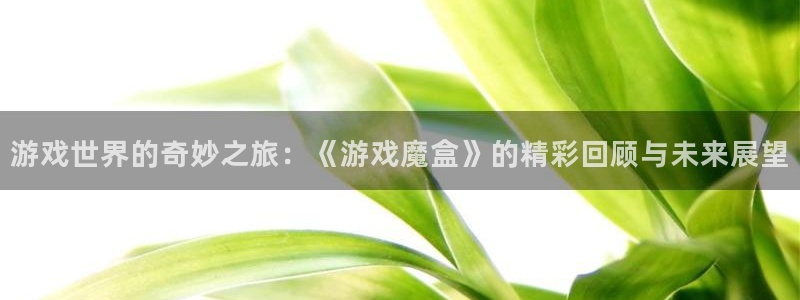 辉达娱乐注册开户：游戏世界的奇妙之旅：《游戏魔盒》的精彩回顾