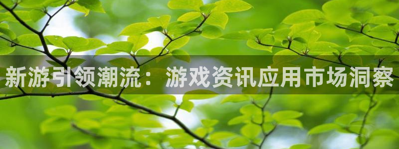 辉达娱乐app下载：新游引领潮流：游戏资讯应用市场洞察