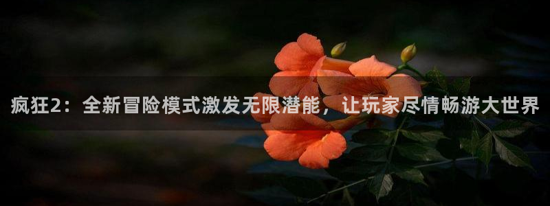 辉达娱乐登陆地址：疯狂2：全新冒险模式激发无限潜能，让玩家尽