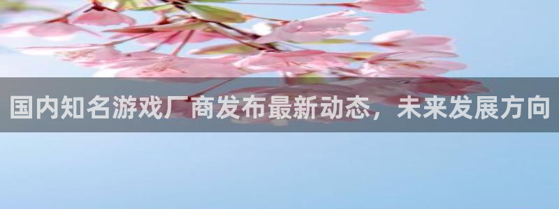 辉达娱乐app下载：国内知名游戏厂商发布最新动态，未来发展方
