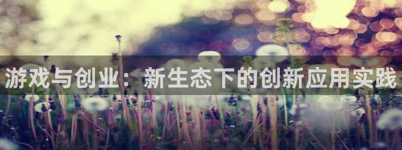 辉达娱乐注册登录平台：游戏与创业：新生态下的创新应用实践