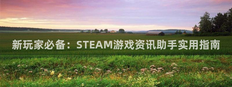 辉达娱乐游戏：新玩家必备：STEAM游戏资讯助手实用指南