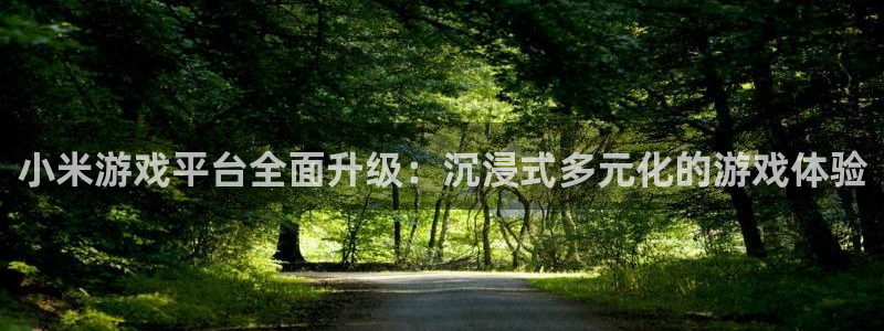 辉达娱乐注册：小米游戏平台全面升级：沉浸式多元化的游戏体验