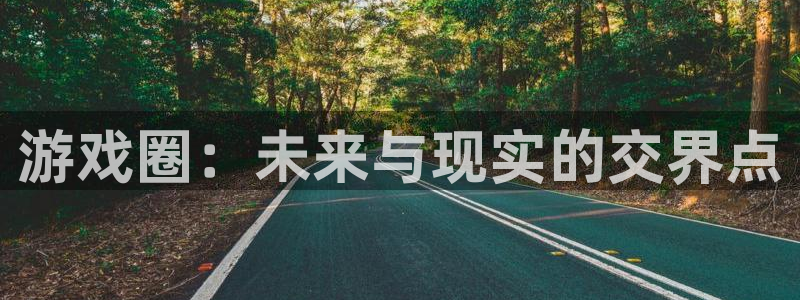 辉达娱乐平台登录入口：游戏圈：未来与现实的交界点